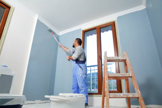 Best Drywall Removal and Disposal  in Zwolle, LA